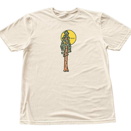 Sequoia Sun T-shirt