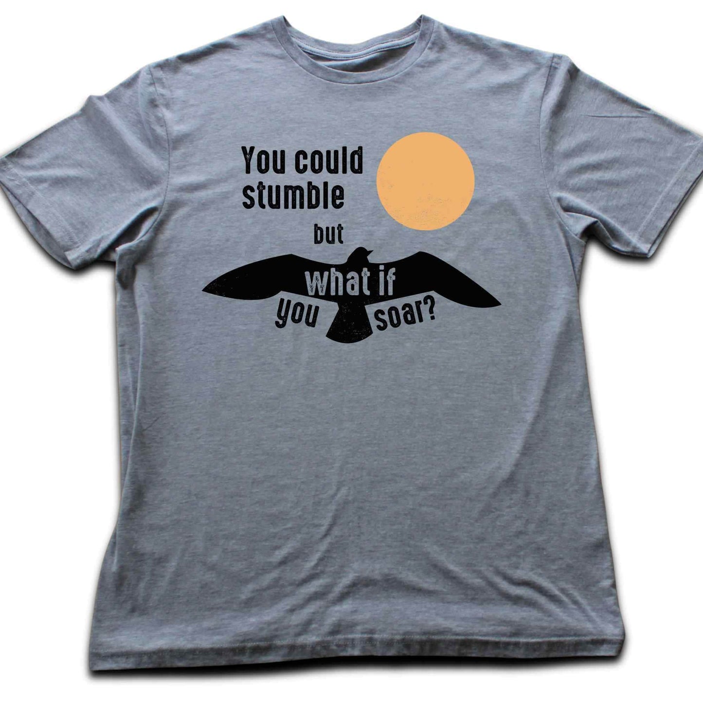 What if You Can Soar T-shirt