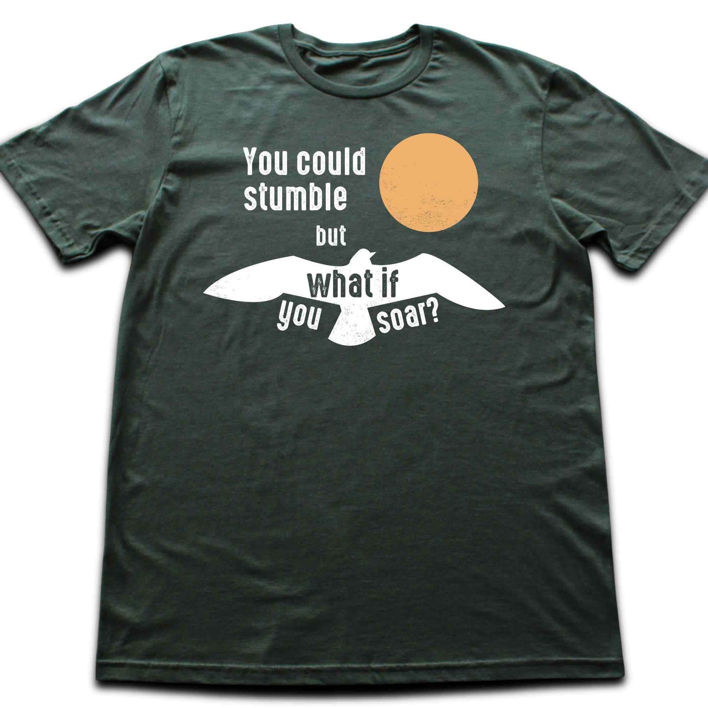 What if You Can Soar T-shirt