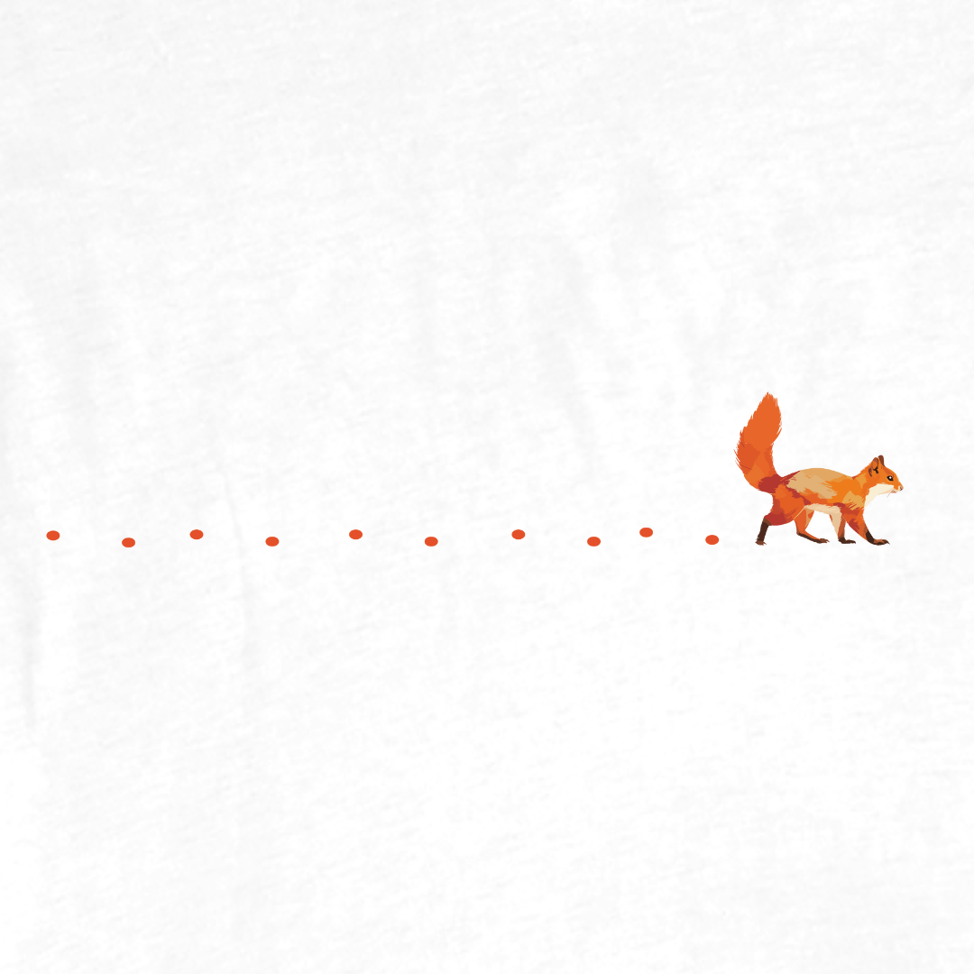 Colorfull Squirel Path T-shirt