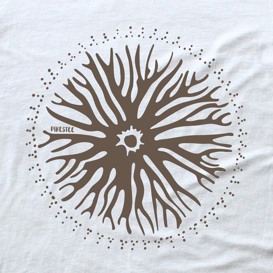 Round Roots T-shirt